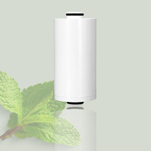 Cartridge Filter Replacement